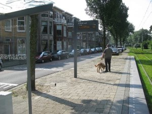 Halte Boreelstraat Dris paal
