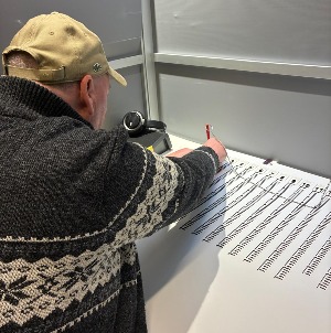 Toegankelijk stemmen in Den Haag: vooruitgang bij VIBES-stembureaus