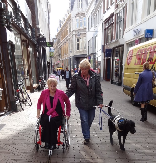 Foto winkelende personen in rolstoel en met hond