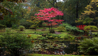 afbeelding Japanse tuin Clingendael