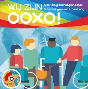afbeelding logo OOXO