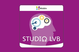 afbeelding logo middin studio LVB