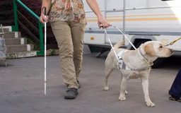 afbeelding van iemand die blind is met een blindegeleidehond