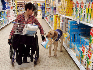 afbeelding vrouw in rolstoel met hulphond