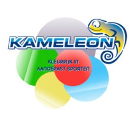 logo kameleon