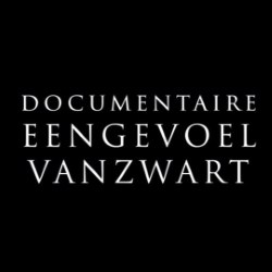afbeelding logo documentaire een gevoel van zwart